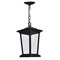Cwi Lighting Leawood 1 Light Black Outdoor Hanging Light 0413P8-1-101 - alternate 2